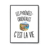 Poster Les Pyrénées-Orientales c’est la vie