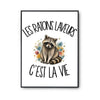 Poster Les ratons laveurs c'est la vie