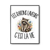 Poster Les ratons laveurs c'est la vie