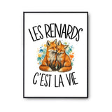 Poster Les renards c'est la vie
