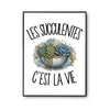 Poster Les succulentes c'est la vie