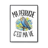 Poster Ma perruche c'est ma vie