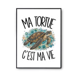 Poster Ma tortue c'est ma vie