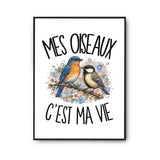 Poster Mes oiseaux c'est ma vie