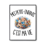 Poster Mes petits-enfants c'est ma vie