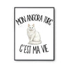 Poster Mon Angora Turc c'est ma vie