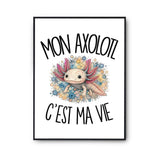 Poster Mon axolotl c'est ma vie