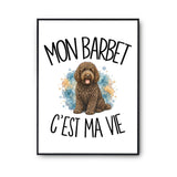 Poster Mon Barbet c'est ma vie
