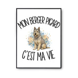Poster Mon Berger Picard c'est ma vie
