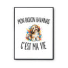 Poster Mon Bichon Havanais c’est ma vie