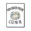 Poster Mon Bichon Maltais c'est ma vie