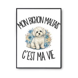 Poster Mon Bichon Maltais c'est ma vie