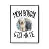 Poster Mon Bobtail c'est ma vie