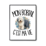 Poster Mon Bobtail c'est ma vie