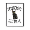 Poster Mon Bombay c'est ma vie