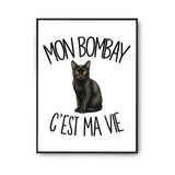 Poster Mon Bombay c'est ma vie