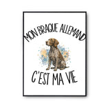 Poster Mon Braque Allemand c'est ma vie