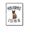 Poster Mon Burmese c'est ma vie