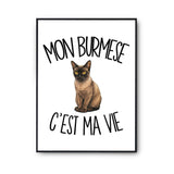 Poster Mon Burmese c'est ma vie
