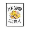 Poster Mon canari c'est ma vie