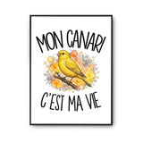 Poster Mon canari c'est ma vie