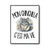 Poster Mon chinchilla c'est ma vie