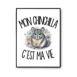 Poster Mon chinchilla c'est ma vie