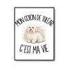 Poster Mon Coton de Tuléar c'est ma vie