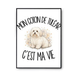 Poster Mon Coton de Tuléar c'est ma vie