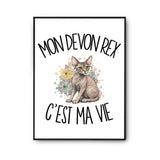 Poster Mon Devon Rex c'est ma vie