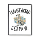 Poster Mon Greyhound c'est ma vie