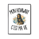 Poster Mon Hovawart c'est ma vie
