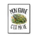 Poster Mon iguane c'est ma vie