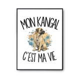 Poster Mon Kangal c'est ma vie