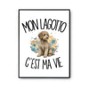Poster Mon Lagotto c'est ma vie