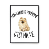 Poster Mon Loulou de Poméranie c'est ma vie