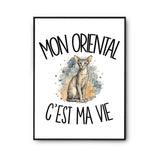 Poster Mon Oriental c'est ma vie