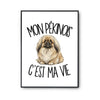 Poster Mon Pékinois c'est ma vie