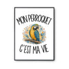Poster Mon perroquet c'est ma vie