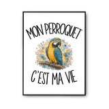 Poster Mon perroquet c'est ma vie