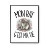 Poster Mon rat c'est ma vie