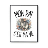 Poster Mon rat c'est ma vie