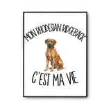 Poster Mon Rhodesian Ridgeback c'est ma vie
