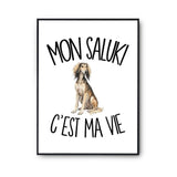 Poster Mon Saluki c'est ma vie