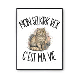 Poster Mon Selkirk Rex c'est ma vie