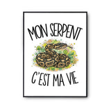 Poster Mon serpent c'est ma vie