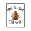 Poster Mon Setter Irlandais c'est ma vie