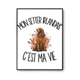 Poster Mon Setter Irlandais c'est ma vie
