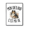 Poster Mon Shetland c'est ma vie