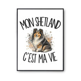 Poster Mon Shetland c'est ma vie